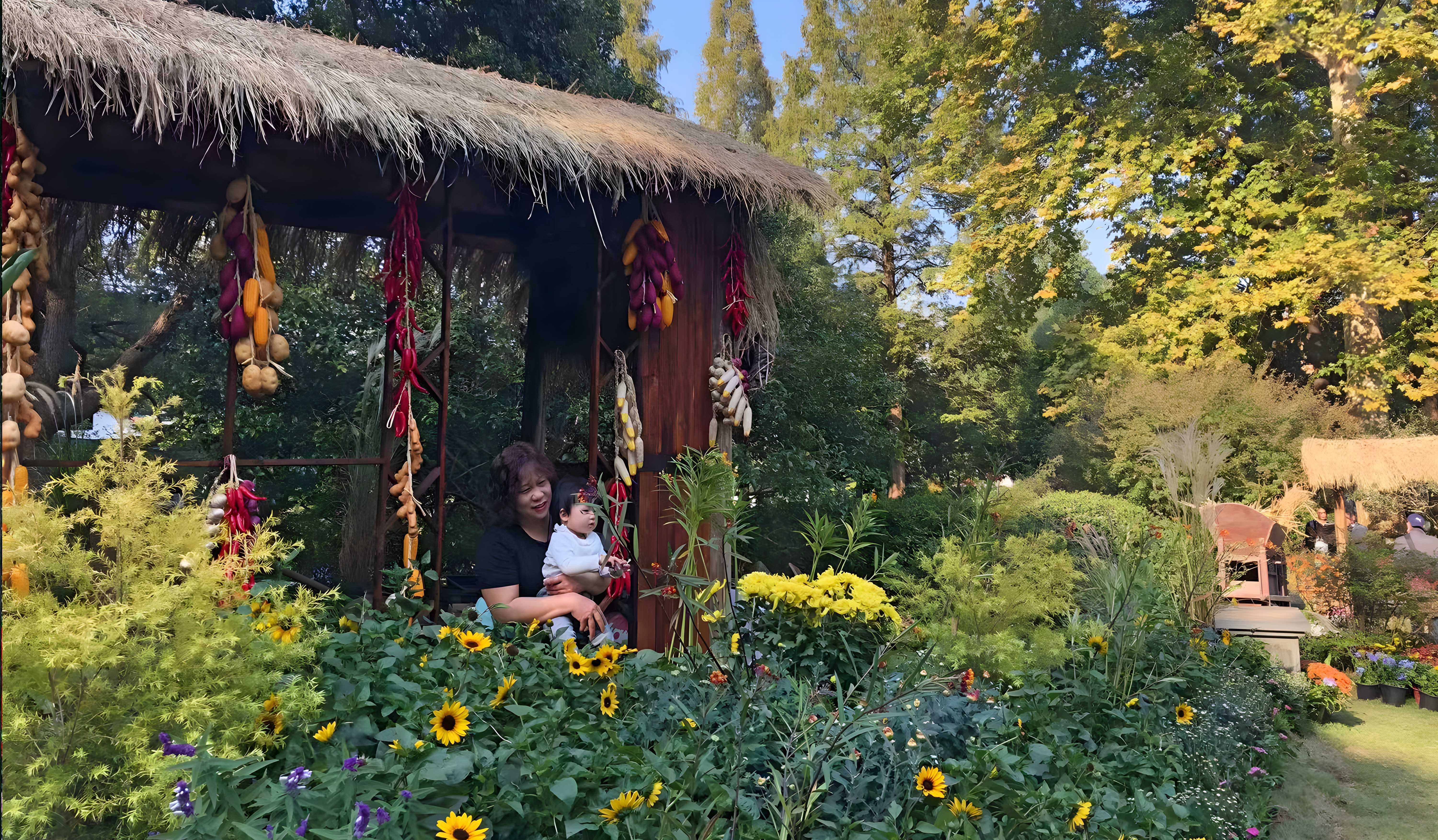 长三角菊花精品展暨2021西湖秋韵菊花艺术节