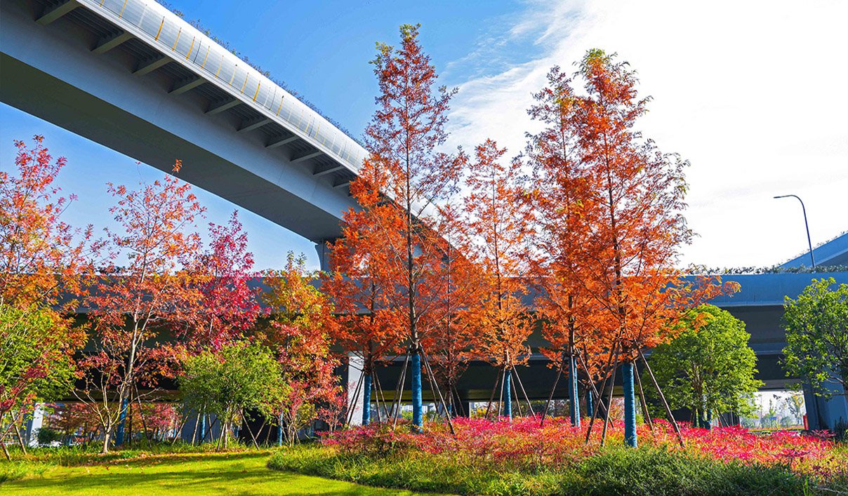 铁路杭州南站综合交通枢纽配套彩虹快速路（市心路-东入城口已建设）项目道路附属配套工程施工项目
